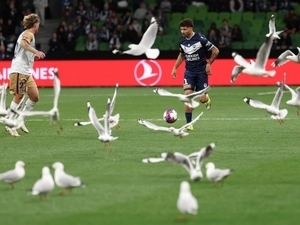 Avustralya’da ilgin� anlar: Sahay� mart�lar bast�